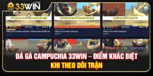 Đá Gà Campuchia 33WIN – Điểm Khác Biệt Khi Theo Dõi Trận Đấu