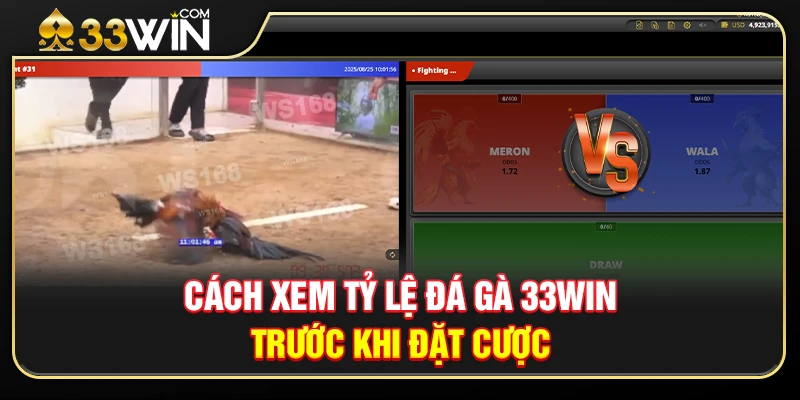 Cách Xem Tỷ Lệ Đá Gà 33WIN Trước Khi Đặt Cược 1 Cách Xem Tỷ Lệ Đá Gà 33WIN Trước Khi Đặt Cược