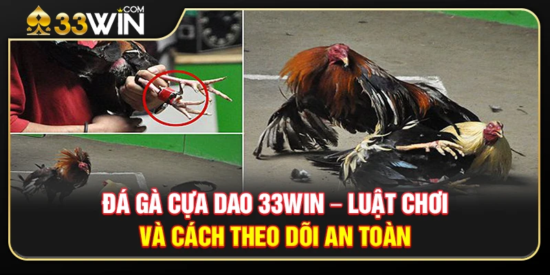 Đá Gà Cựa Dao 33WIN – Luật Chơi Và Cách Theo Dõi An Toàn 1 Đá Gà Cựa Dao 33WIN – Luật Chơi Và Cách Theo Dõi An Toàn