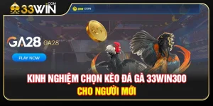 Kinh Nghiệm Chọn Kèo Đá Gà 33WIN300 Cho Người Mới