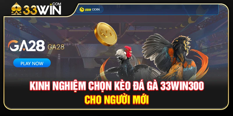 Kinh Nghiệm Chọn Kèo Đá Gà 33WIN300 Cho Người Mới 1 Kinh Nghiệm Chọn Kèo Đá Gà 33WIN300 Cho Người Mới